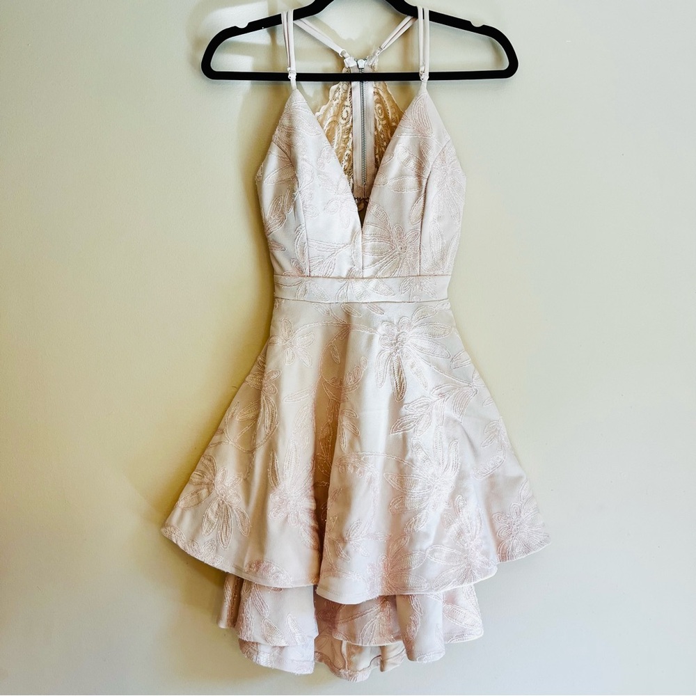 Honey and Rosie Dress Blush Pink Barbie Feminine Embroidered Glitter Lace Peplum